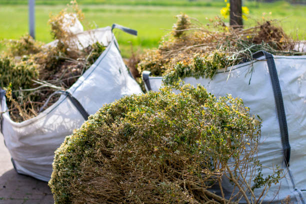 Best Affordable Junk Removal Services  in China, TX